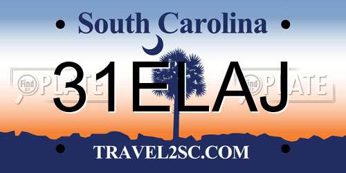 31ELAJ South Carolina License Plate