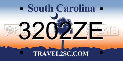 3202ZE South Carolina License Plate