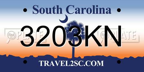 3203KN South Carolina License Plate