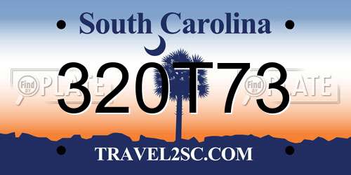 320T73 South Carolina License Plate