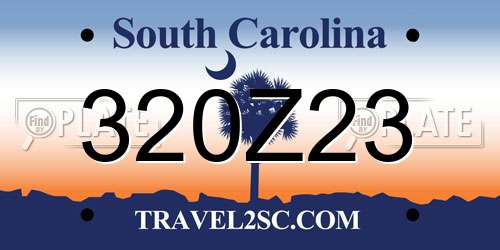 320Z23 South Carolina License Plate