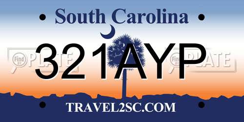 321AYP South Carolina License Plate