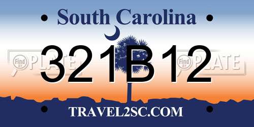 321B12 South Carolina License Plate