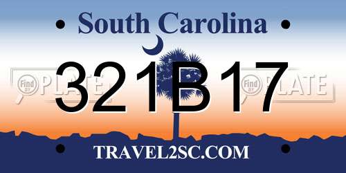 321B17 South Carolina License Plate
