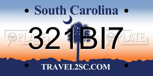 321BI7 South Carolina License Plate
