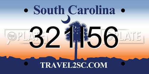 321I56 South Carolina License Plate