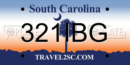 321IBG South Carolina License Plate