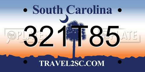 321T85 South Carolina License Plate