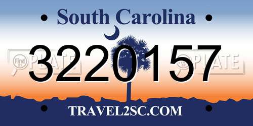 3220157 South Carolina License Plate