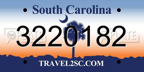 3220182 South Carolina License Plate