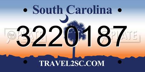 3220187 South Carolina License Plate