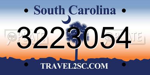 3223054 South Carolina License Plate