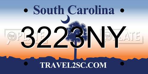 3223NY South Carolina License Plate