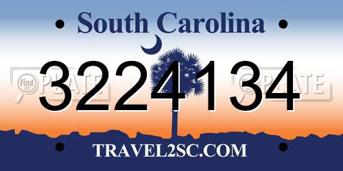 3224134 South Carolina License Plate