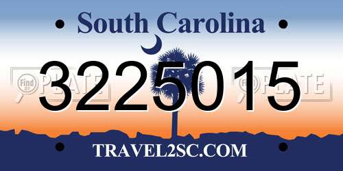 3225015 South Carolina License Plate