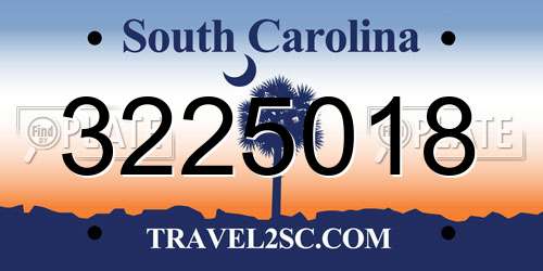 3225018 South Carolina License Plate