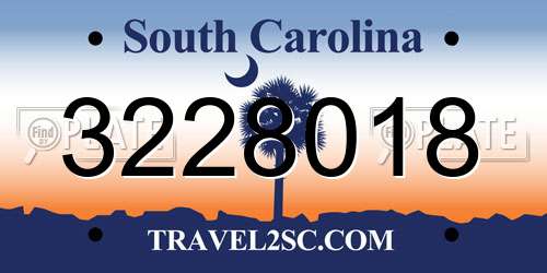 3228018 South Carolina License Plate