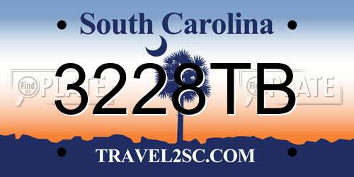 3228TB South Carolina License Plate