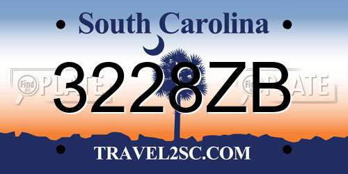 3228ZB South Carolina License Plate
