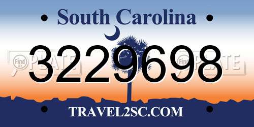 3229698 South Carolina License Plate