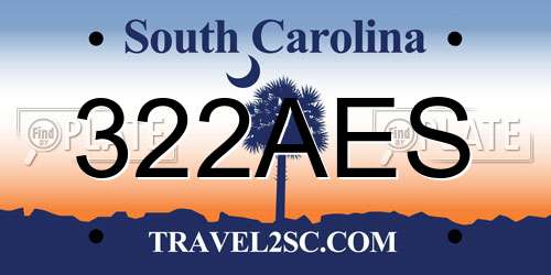 322AES South Carolina License Plate