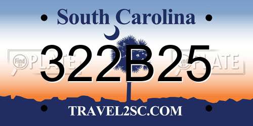 322B25 South Carolina License Plate