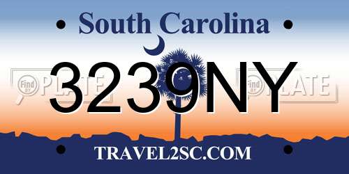 3239NY South Carolina License Plate