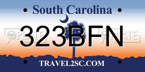 323BFN South Carolina License Plate