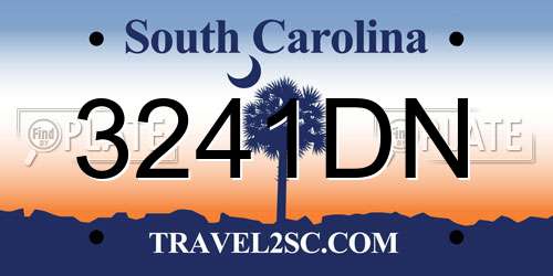 3241DN South Carolina License Plate