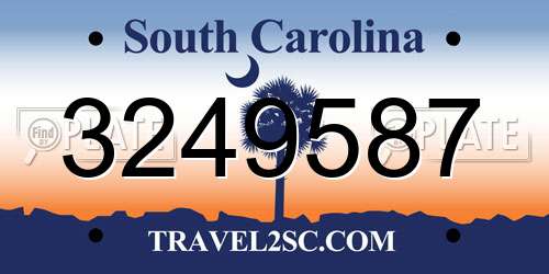 3249587 South Carolina License Plate