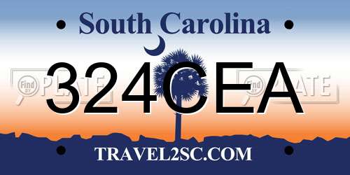 324CEA South Carolina License Plate