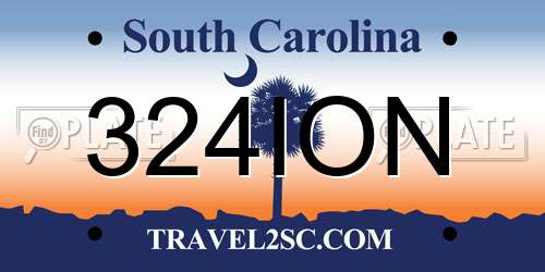 324ION South Carolina License Plate
