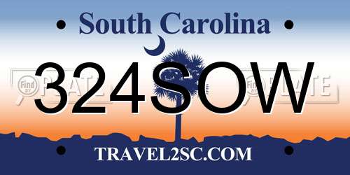 324SOW South Carolina License Plate