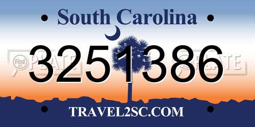 3251386 South Carolina License Plate