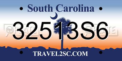 32513S6 South Carolina License Plate