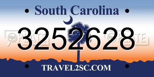 3252628 South Carolina License Plate