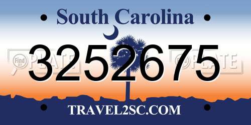 3252675 South Carolina License Plate