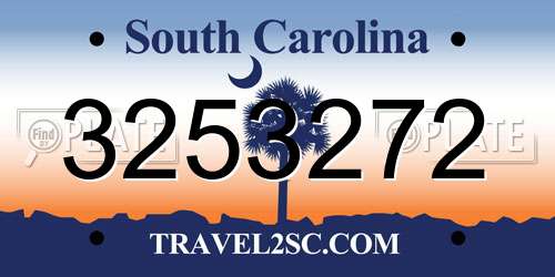 3253272 South Carolina License Plate