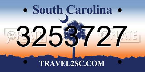 3253727 South Carolina License Plate