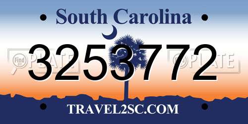 3253772 South Carolina License Plate