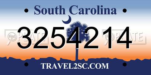3254214 South Carolina License Plate