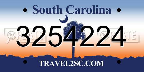3254224 South Carolina License Plate
