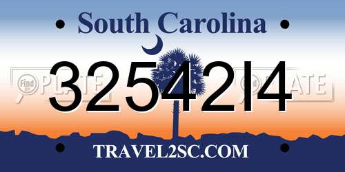 32542I4 South Carolina License Plate