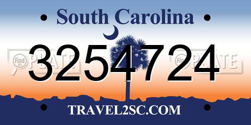 3254724 South Carolina License Plate
