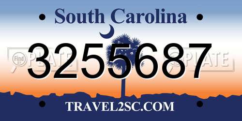3255687 South Carolina License Plate
