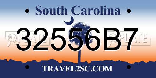 32556B7 South Carolina License Plate