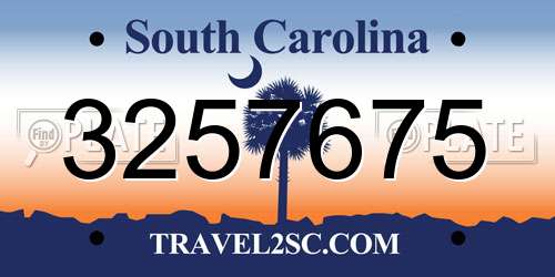 3257675 South Carolina License Plate