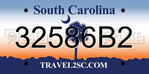 32586B2 South Carolina License Plate