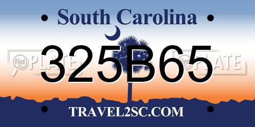 325B65 South Carolina License Plate
