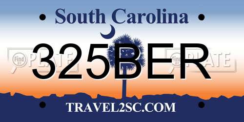 325BER South Carolina License Plate